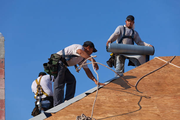 Best New Roof Installation  in Surrey, ND