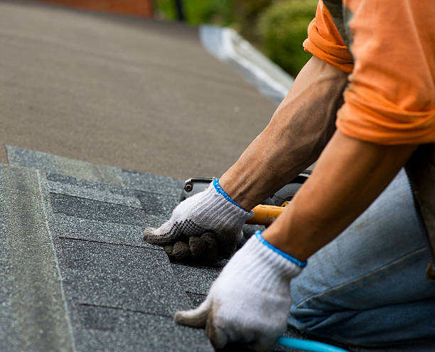 Quick and Trustworthy Emergency Roof Repair Services in Surrey, ND