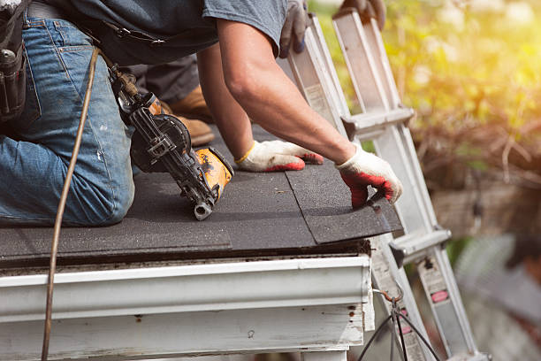 Best Sealant for Roof  in Surrey, ND