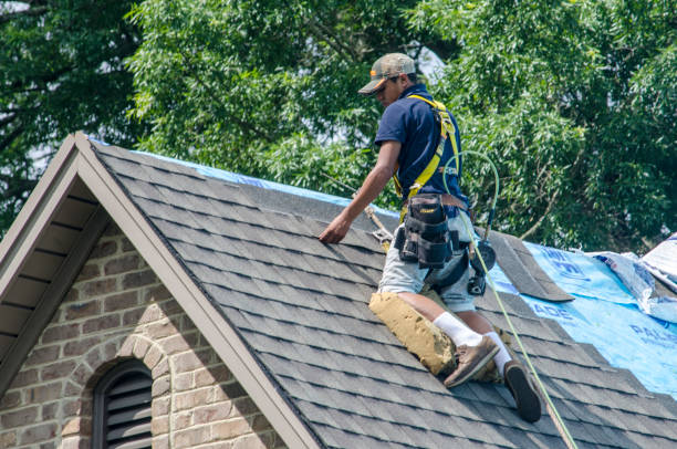 Best Storm Damage Roof Repair  in Surrey, ND